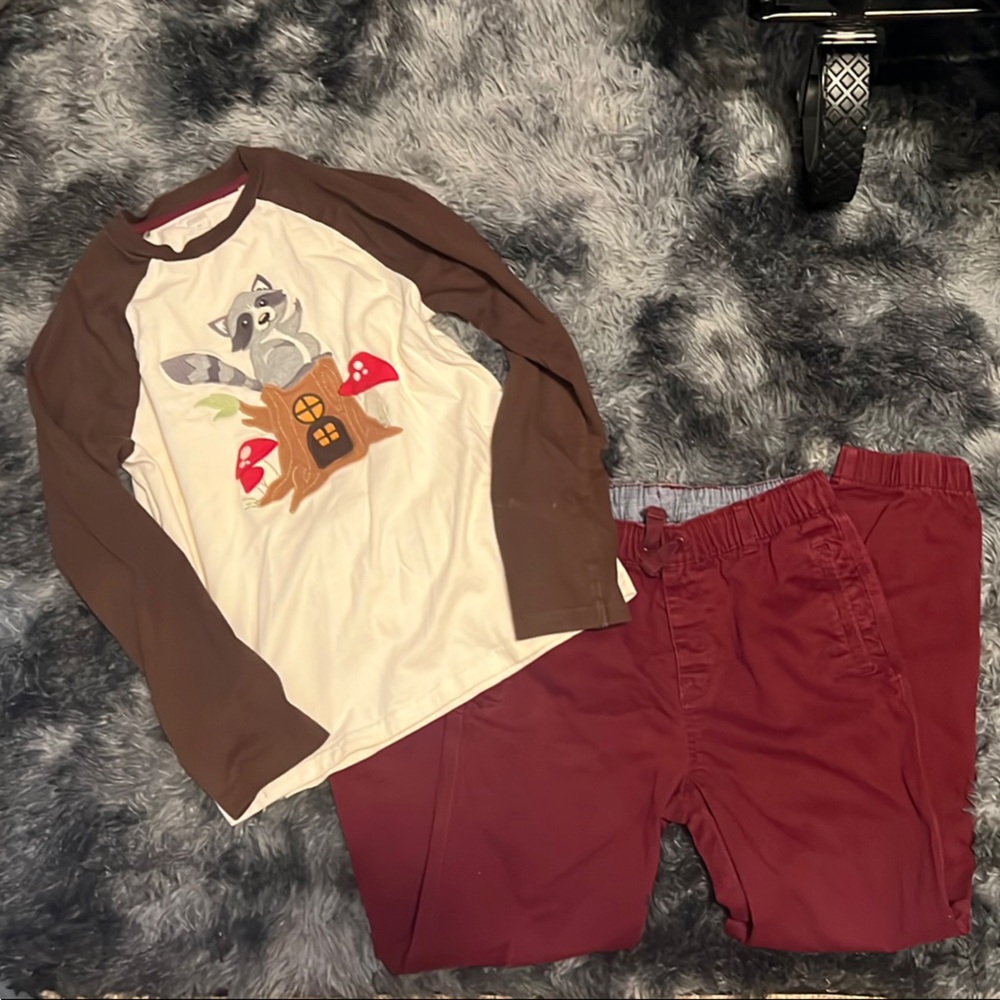 Gymboree Raccoon Graphic Shirt with Pants size 10 boys